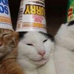 Meet your Posher, Teresa